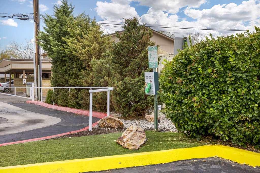 Best Western Fallon Inn & Suites Fasilitas foto